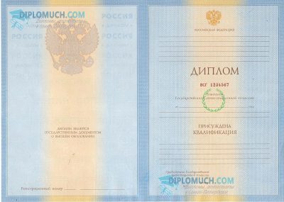 диплом специалиста 2010-2011